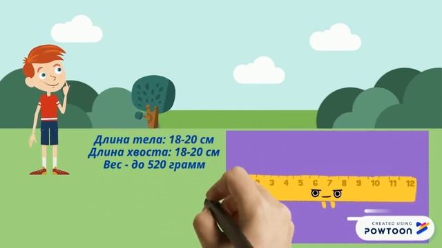 Русская выхухоль смотреть онлайн