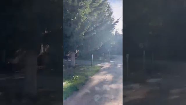 База отдыха Оазис на озере Белё: часть территории