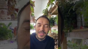 Субстрат для стрептокарпусов