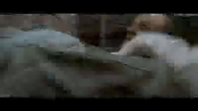 Disturbed Down With The Sickness Resident Evil 4 Extinction Music Video.AVI смотреть онлайн