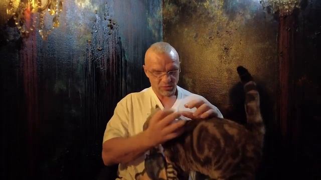 Ты и есть Сон! - Владимир Епифанцев смотреть онлайн