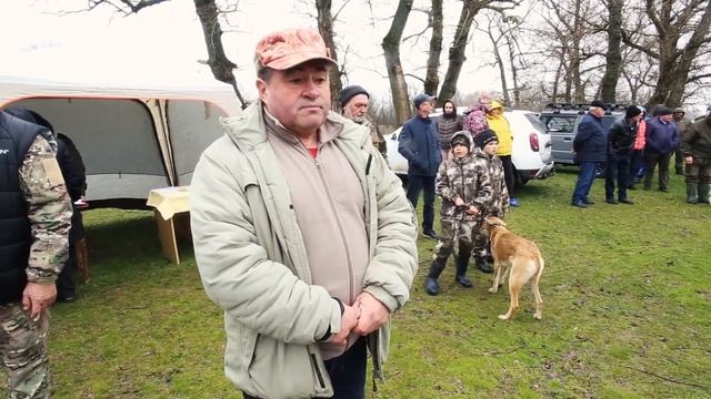 В Новокубанске состоялась выставка собак охотничьих пород 2021 смотреть онлайн