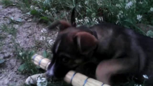 Помочь хочу смотреть онлайн