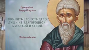 17 февраля. Преподобный Исидор Пелусиот.
