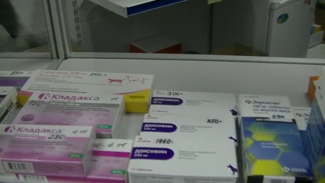 Ветеринарная аптека Бемби. Наличие в Октябре 2023 смотреть онлайн