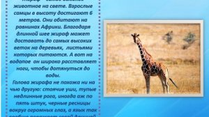 Интерактивная игра «Это интересно. Обо всем на свете» Нахабинская городская библиотека