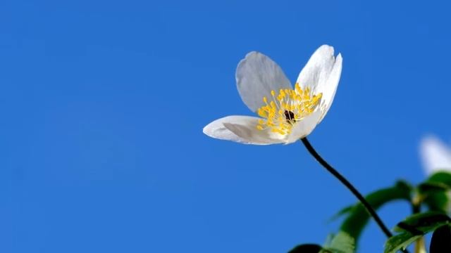 ,СТИХИ О ЖИЗНИ смотреть онлайн