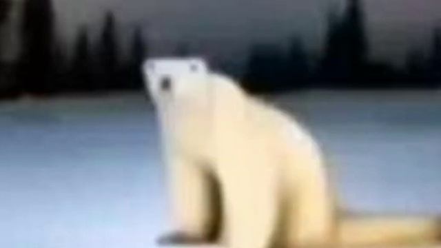 мем из 2026 года.Откуда он?