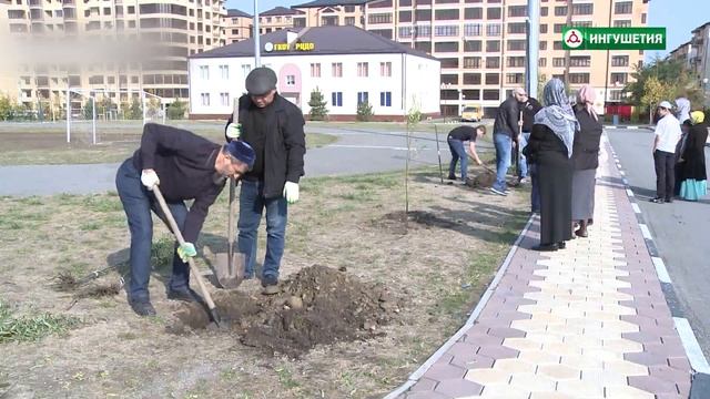 17072018 ГЛАВНОЕ ЭКОЛОГИЯ смотреть онлайн