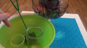 Уход за рыбкой петушком.