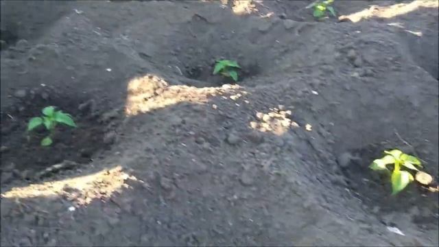 Рыночные отношения в современной экономике смотреть онлайн