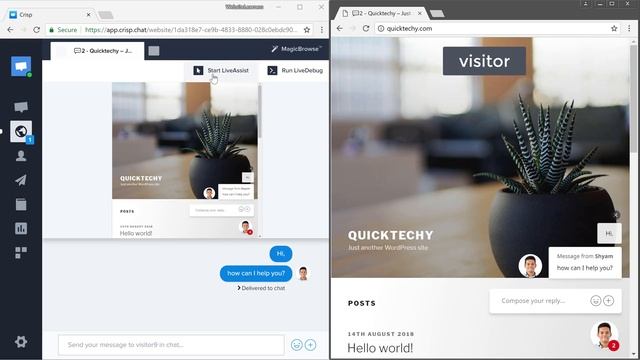 How to Add Live Chat to a Wordpress Website смотреть онлайн