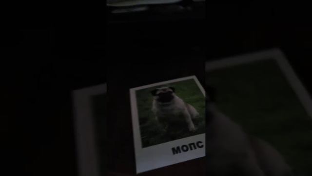 5 января 2021 г. смотреть онлайн