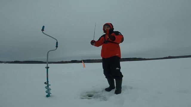 ЗИМНЯЯ рыбалка на Можайском водохранилище. ЛОВЛЯ СУДАКА и ЛЕЩА #зимняярыбалка смотреть онлайн