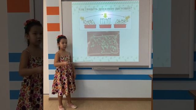 Родионова Милана 6лет «Мир комнатных растений» смотреть онлайн