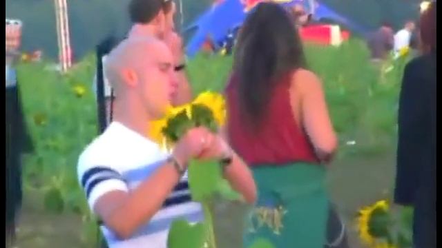 Подсолнух не вставляет Ну и не надо смотреть онлайн