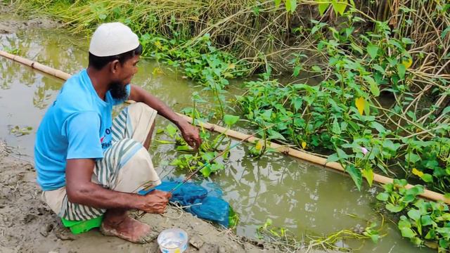 Hook Fishing - Traditional Hook Fishing - MR Fishing Life (Part-365)