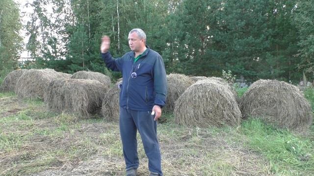 В свете последних событий. Сенокос продолжается. смотреть онлайн