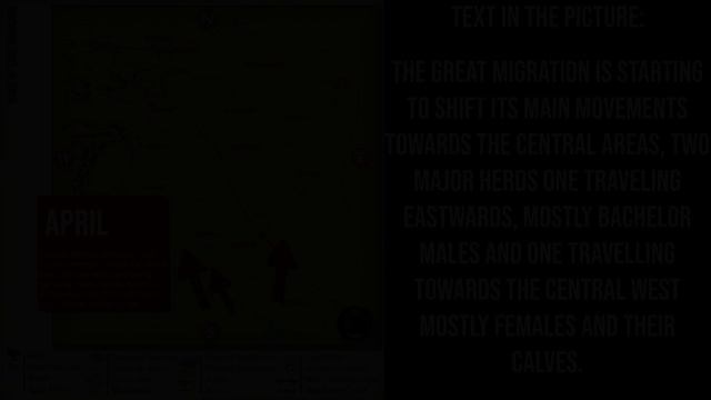 AI Herds Roaming the Savanna! - Roblox Wild Savanna смотреть онлайн