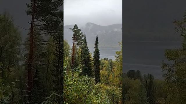 Дом Дракона.mp4 смотреть онлайн
