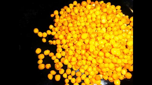 Облепиха ягода жизни уникальные полезные свойства смотреть онлайн