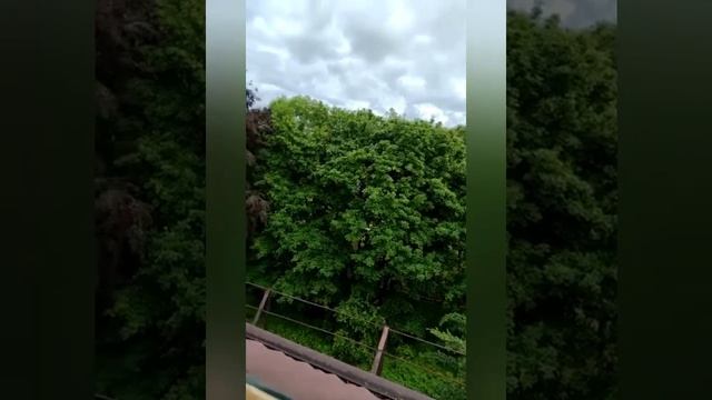 Калининградская область, Пионерский Курорт. В гостях... смотреть онлайн