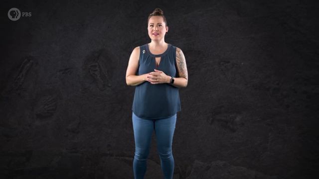 When Antarctica Was Green