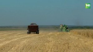 Туган жир 26/08/22