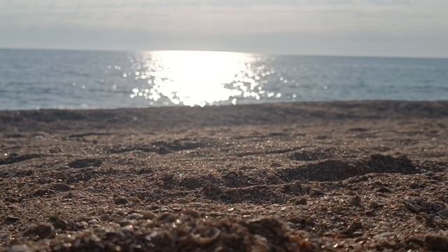 ?Сатсанг в Храме Творцов с Ведающей. #сатсанг #ведающаяженщина #духовноеразвитие #youtubeshorts