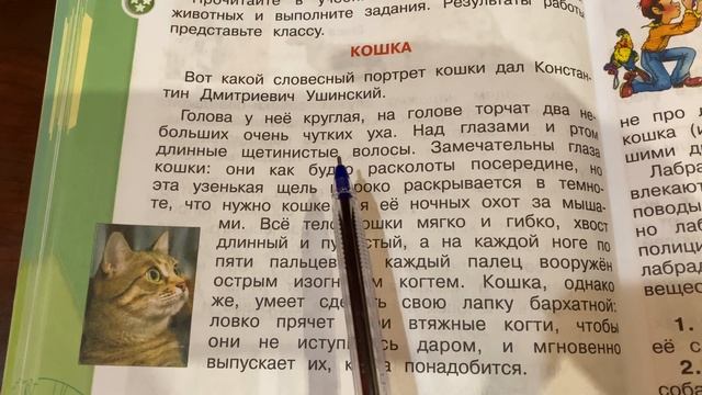 Окружающий мир/2 класс/Плешаков/часть 1/Про кошек и собак/19.10.21 смотреть онлайн