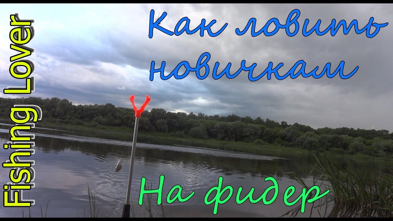 Как ловить новичкам на фидер. Как это делаю я смотреть онлайн