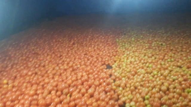 Как дозревать должен правильно помидор!) смотреть онлайн