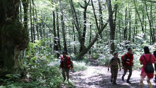 ? #МоментыСлужбы – учения с волонтерами в Сочи смотреть онлайн