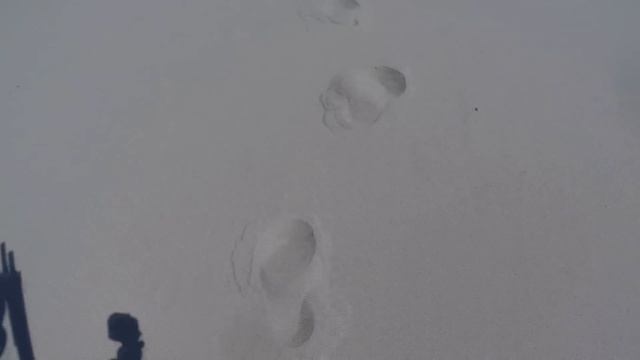 Подводный охотник не дошел до воды! смотреть онлайн