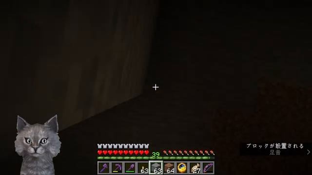 Minecraft test (Java Edition 1.19) смотреть онлайн