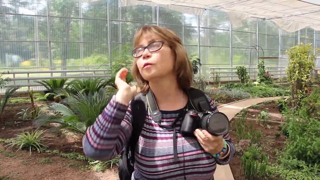 Станция Юннатов Алматы 8 часть Оранжерея 2 смотреть онлайн