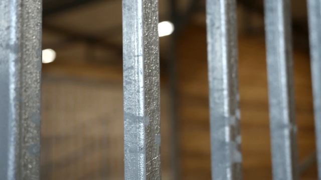 «Алабай 62». Строительство вольеров для собак (2019) смотреть онлайн