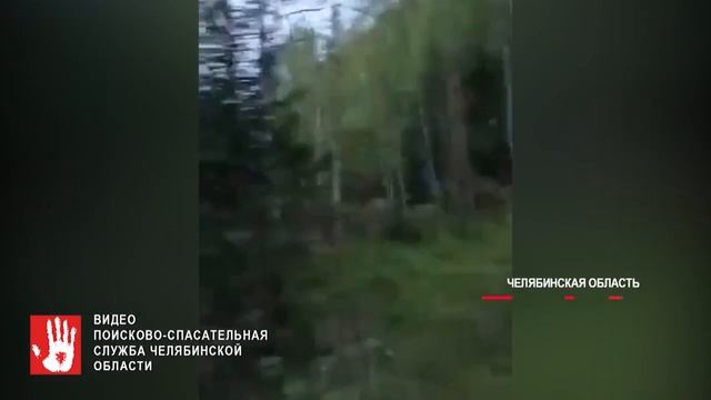В Челябинской области в лесу пропали 74-летняя бабушка и 85-летний дедушка смотреть онлайн
