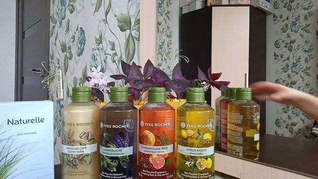 Заказ Ив Роше