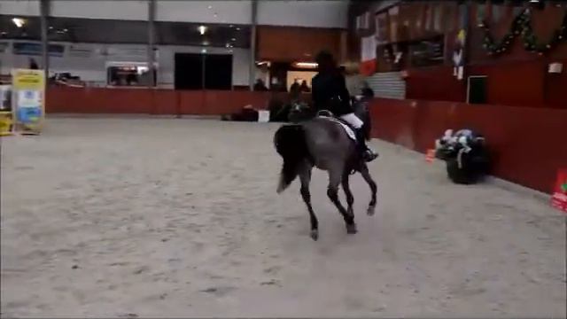 Indoor Springconcours paarden en pony’s 2014 te Balkbrug смотреть онлайн