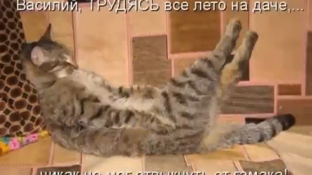Поздравляю! Хорошего настроения! смотреть онлайн