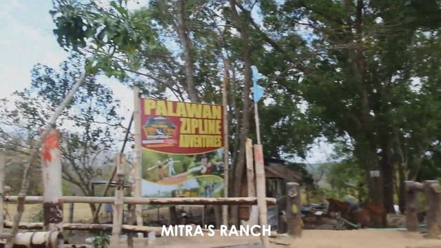 5 BEST THINGS TO DO IN PUERTO PRINCESA CITY смотреть онлайн