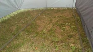 палатка 4х местная с тамбуром двухслойная туристическая, для похода, для отдыха, кемпинга, рыбалки.