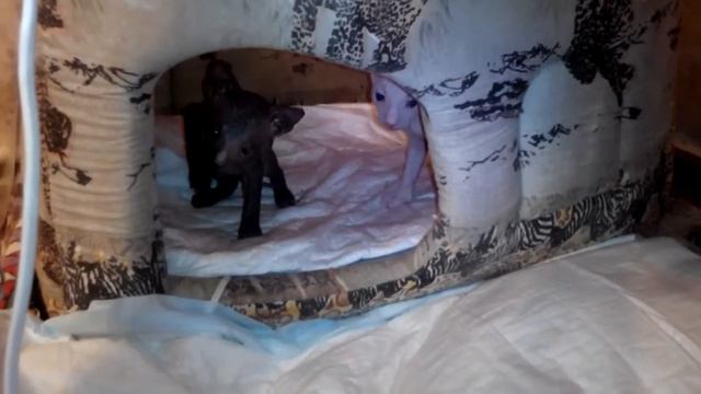 Игруны смотреть онлайн