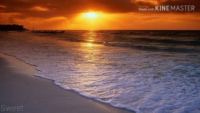 🌊||WildCraft|| Клип я б уплыла в океан🌊 смотреть онлайн