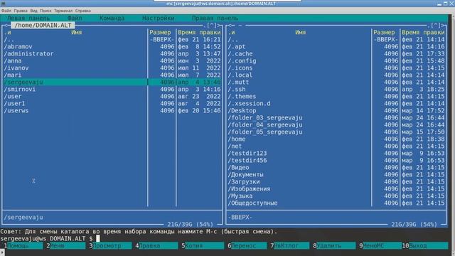 Администрирование системы Linux: команды su и sudo смотреть онлайн