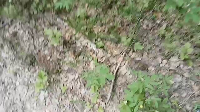 цена на метал копеешная,. решили накопать такой же метал#коп #металлокоп #металл#металлолом#газ69 смотреть онлайн