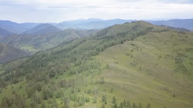 Перевал Тёплый возле села Сентелек Алтайский край смотреть онлайн
