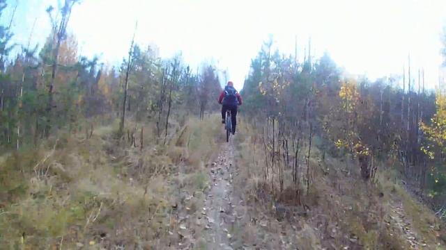 Лесной велотрек смотреть онлайн
