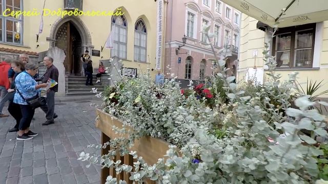 Главный минус и глупость эстонцев .....И рыбку хотят съесть и... смотреть онлайн